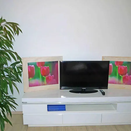 Wohlfuhlappartement Mit Bergblick Apartmán *